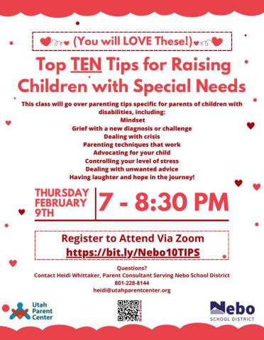 Flier explaining the Top TEN Tips for Raising Children With Special Needs 